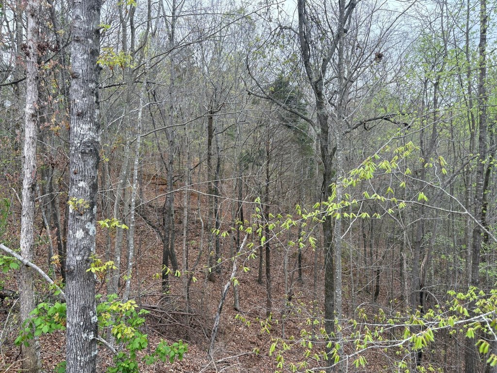 Picture 13