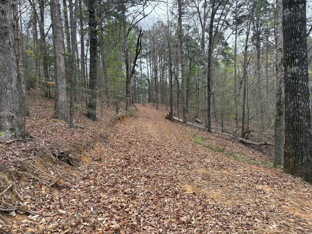Picture 21