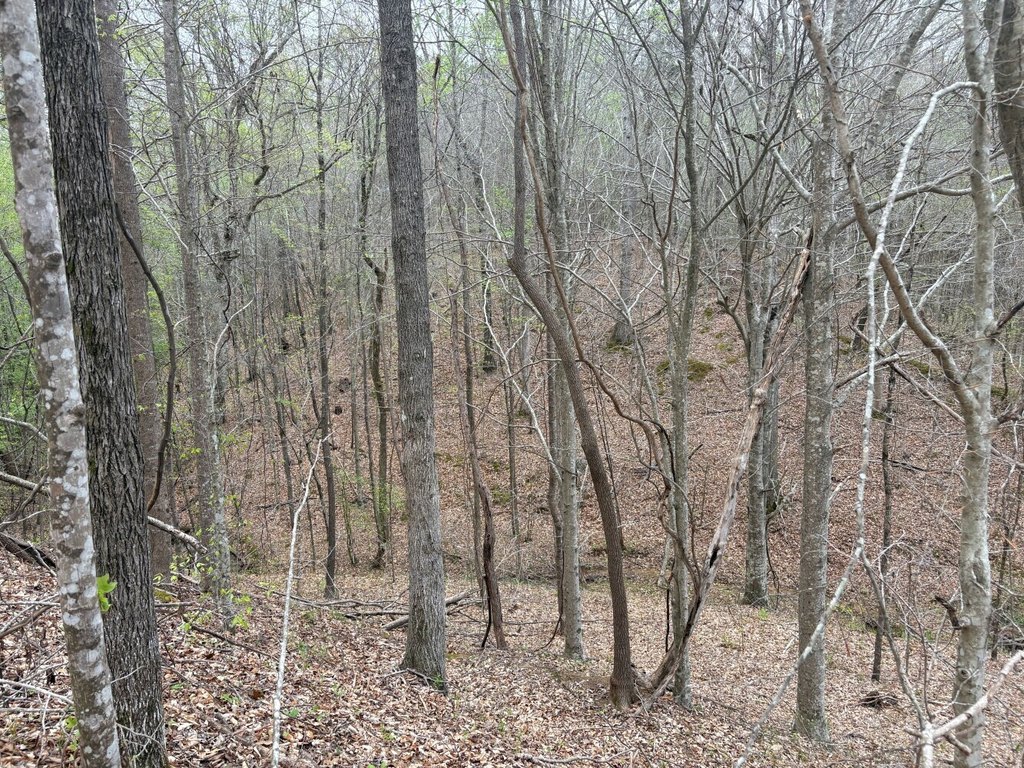 Picture 14