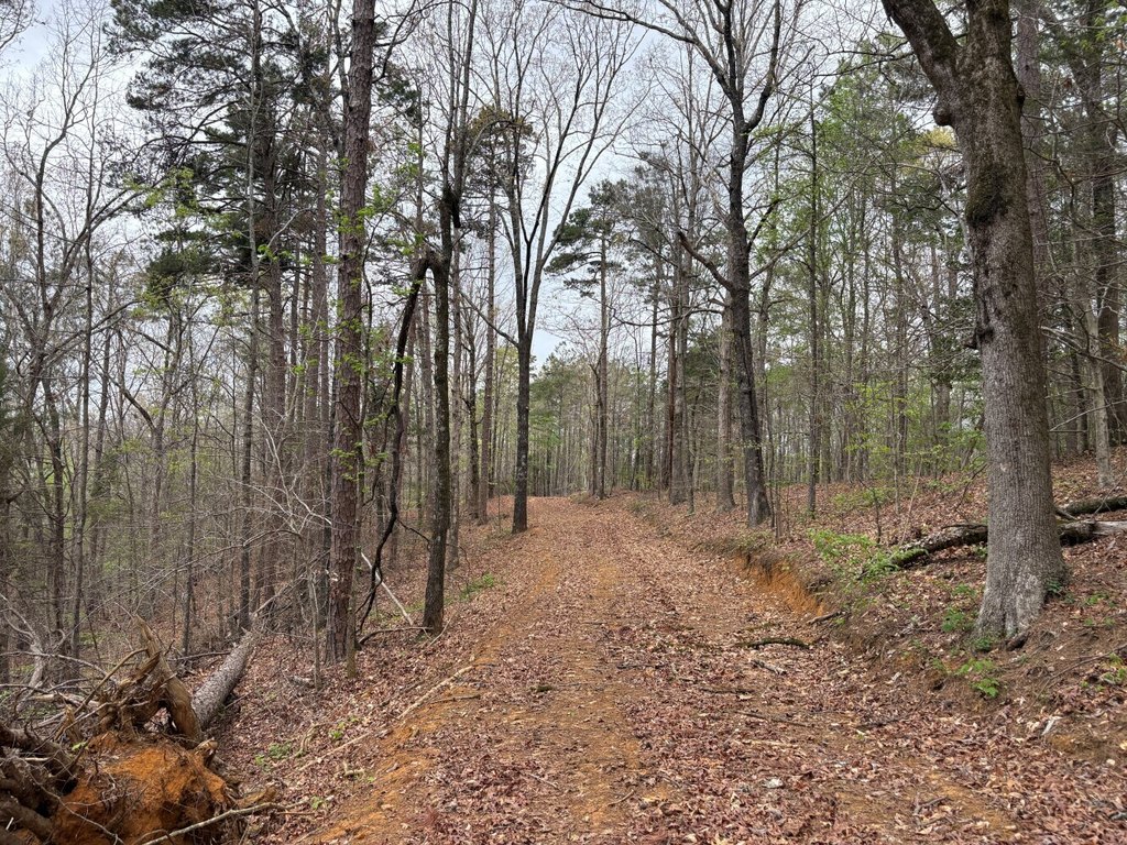 Picture 3