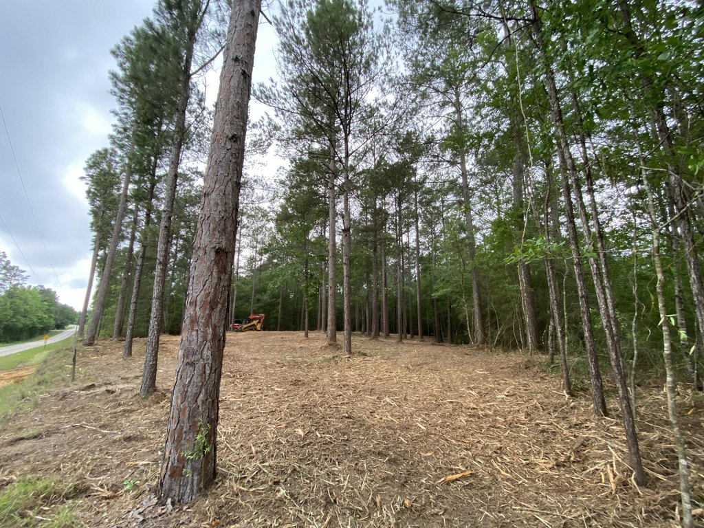 Picture 2