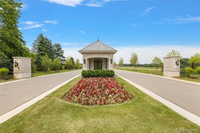 Picture 8