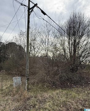 LAND - SYLACAUGA, AL