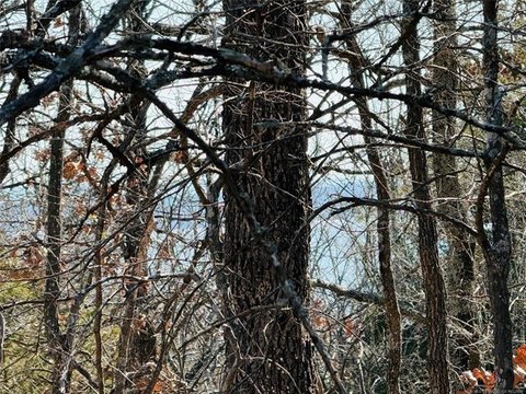 Land Near Lake Eufaula