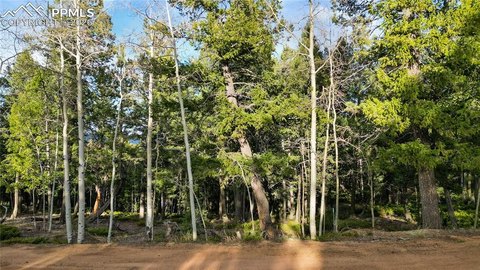 Woodland Park Land with Privacy