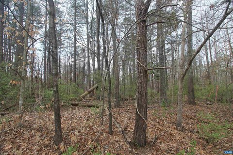 Wooded Lot Near Hollymead Town