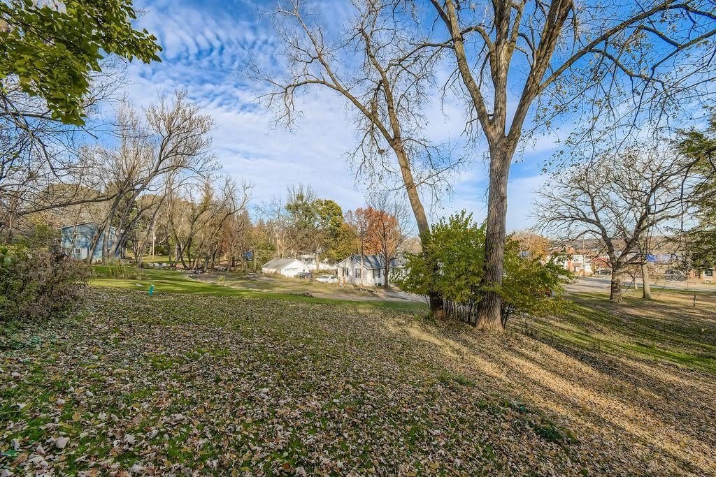 Picture 11