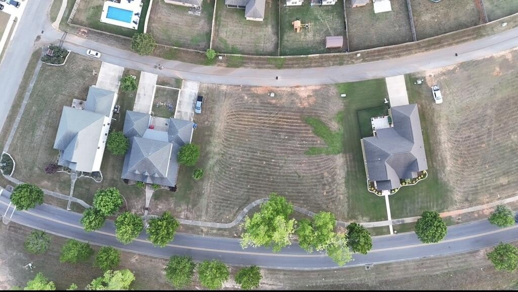 Picture 3