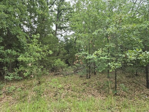 Residential Lot in Cherokee Shores