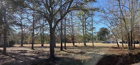 Georgetown Land with Water Access