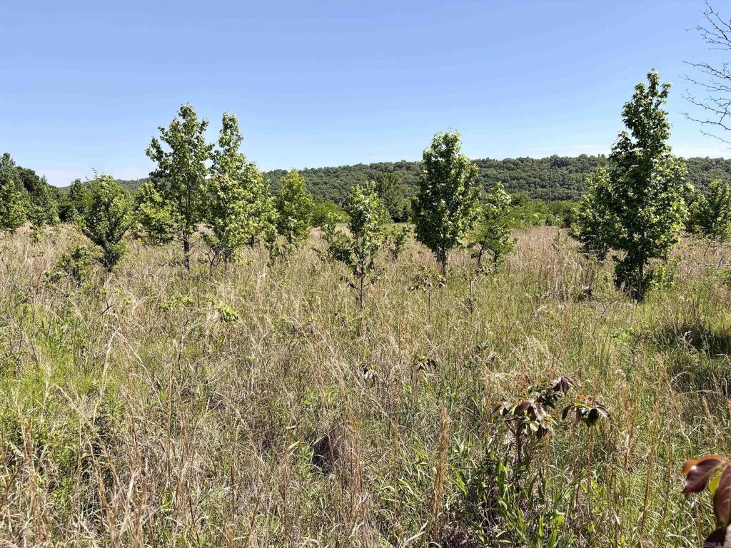 Picture 30