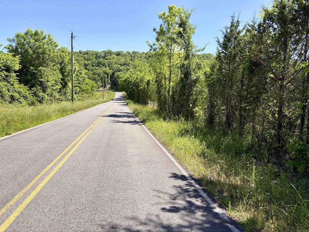 Picture 41