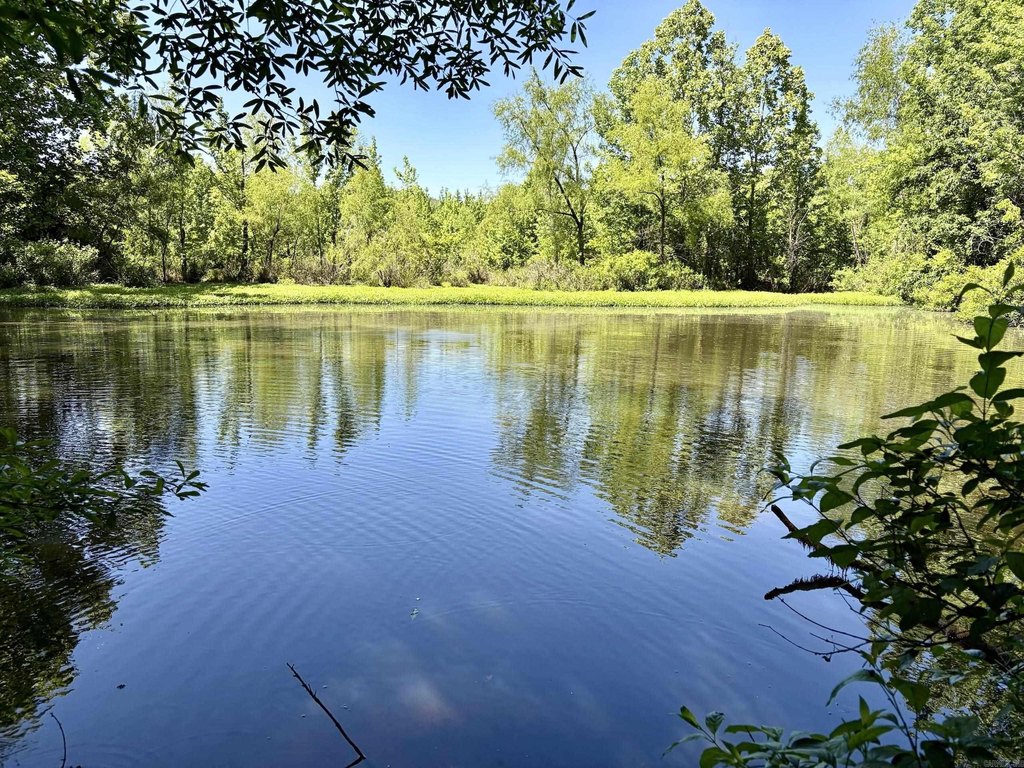 Picture 20