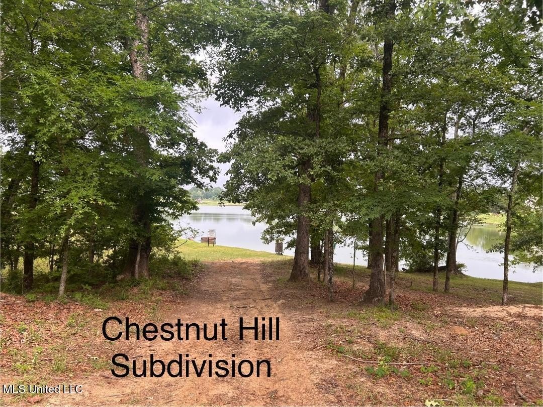 Wooded Land Near Lake
