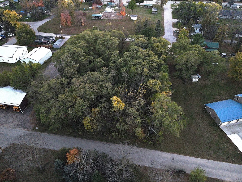 Picture 3