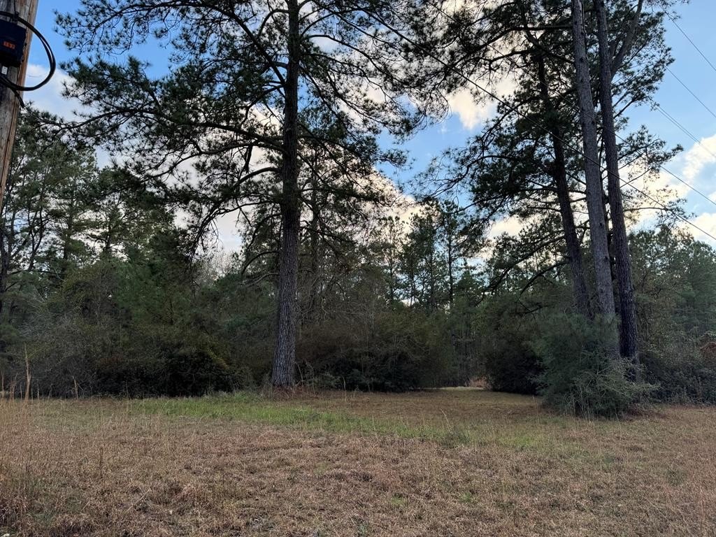 Poplarville Land with Homestead
