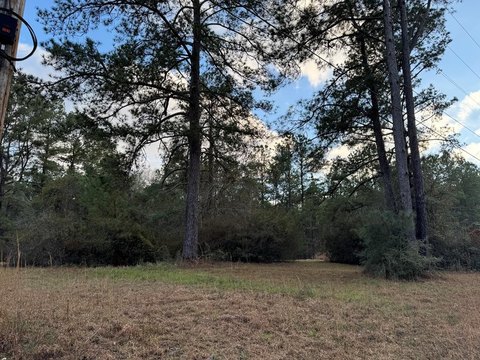 Poplarville Land with Homestead