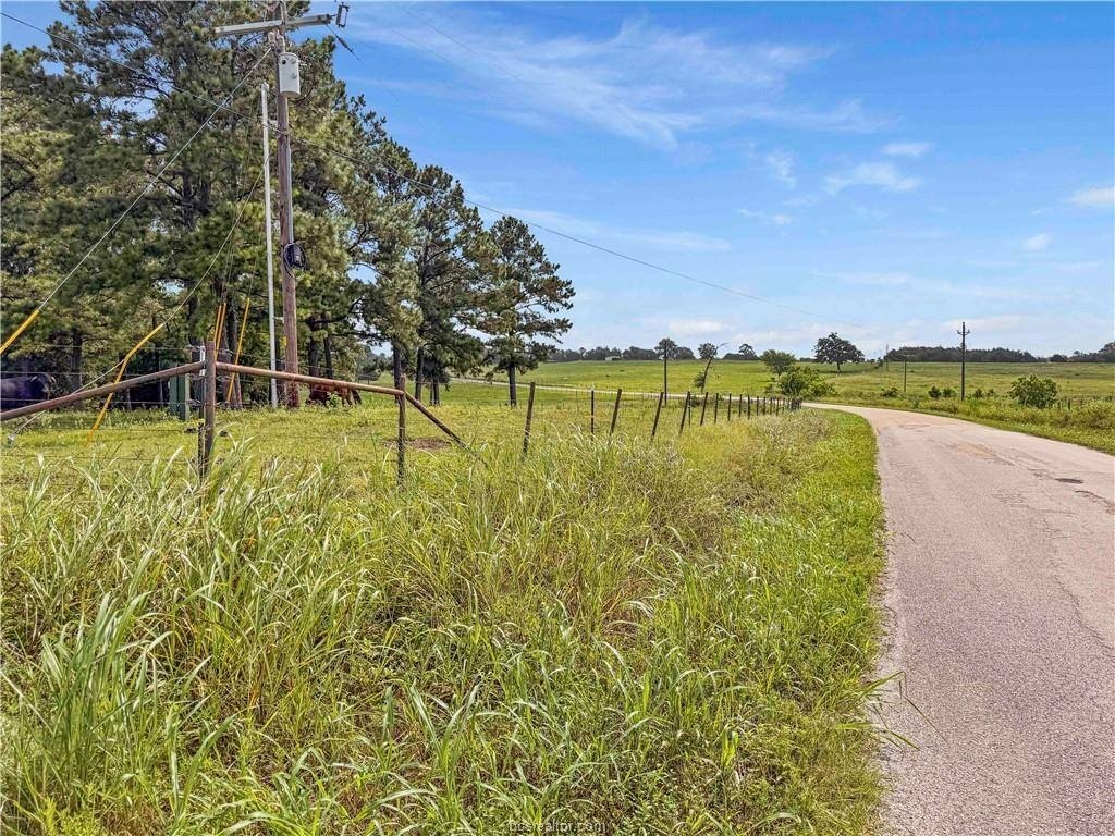 Picture 40