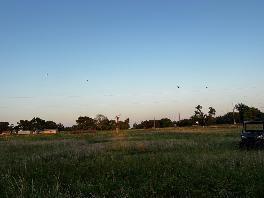 Picture 25