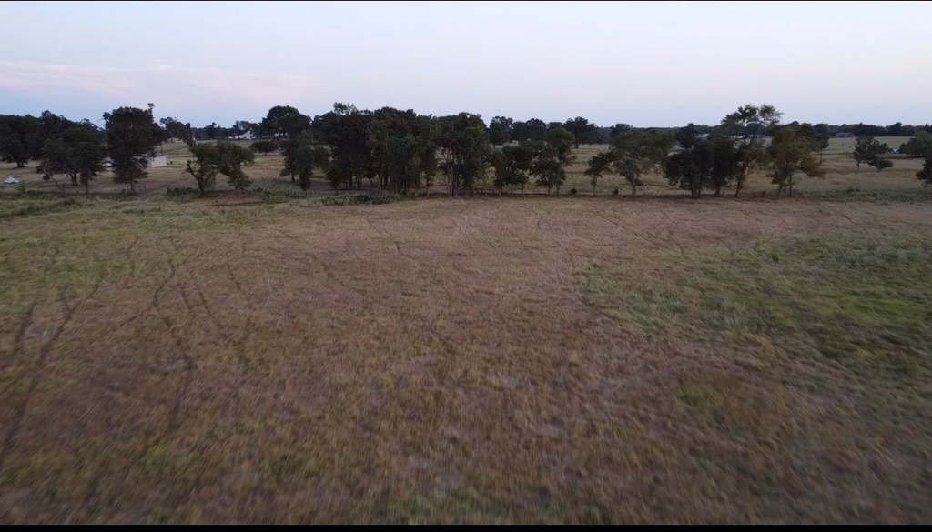 Picture 14