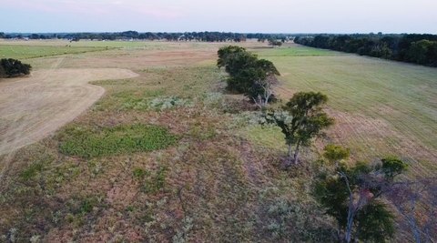 Land, Canton, TX