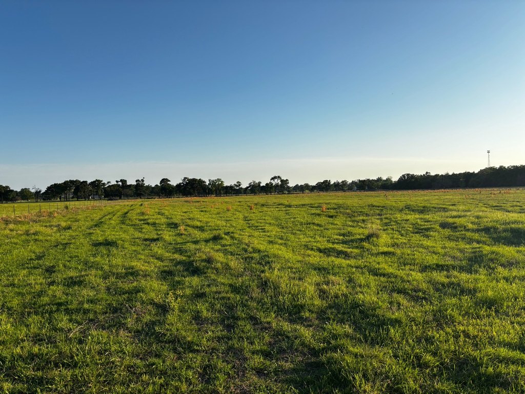 Picture 28
