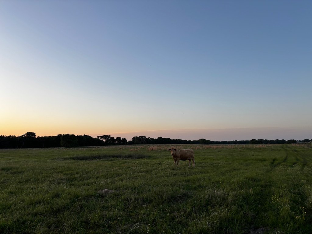 Picture 22