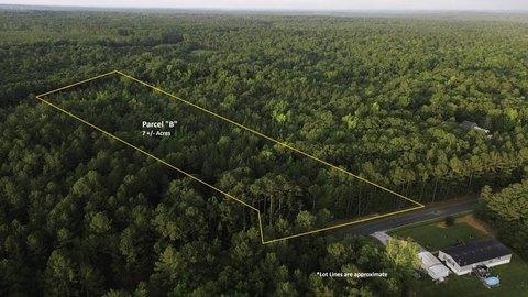 Wooded Residential Land Tract