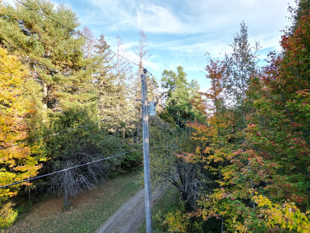 Picture 7