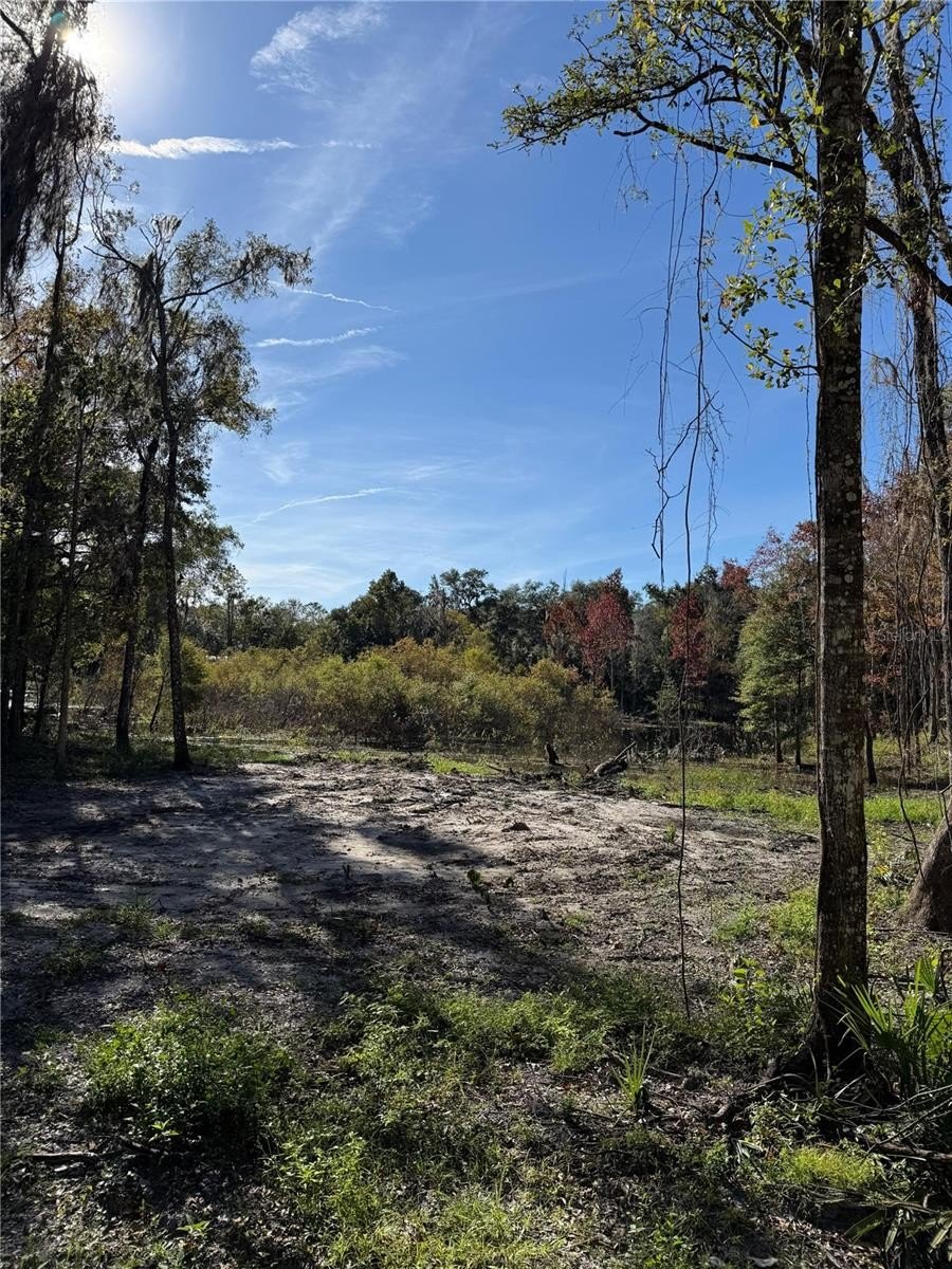 6-Acre Natural Paradise Near WEC