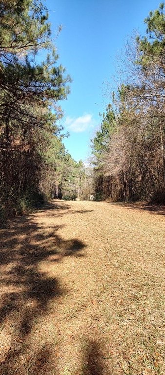 Picture 8