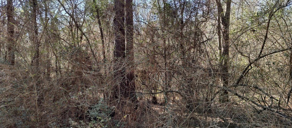 Picture 3