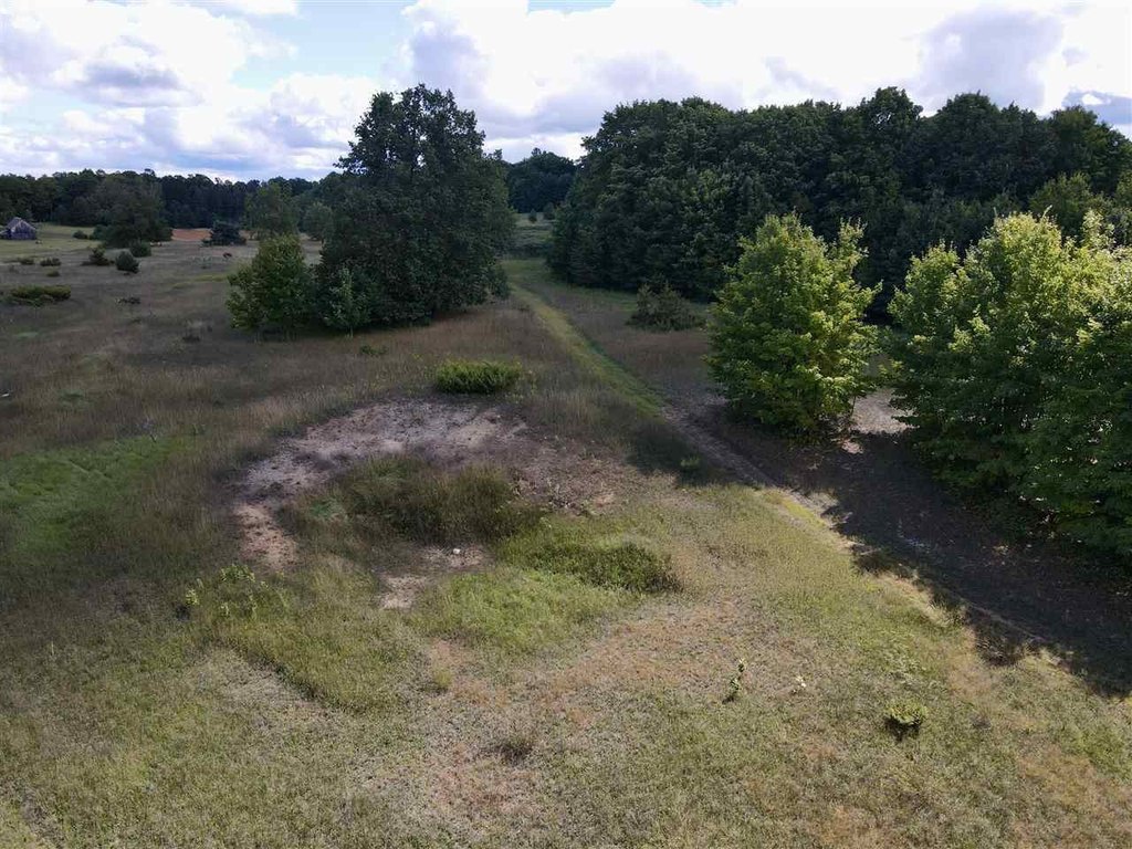 Picture 11