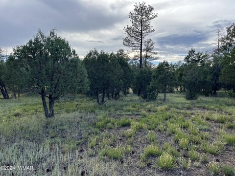 Lakeside, AZ Land For Sale