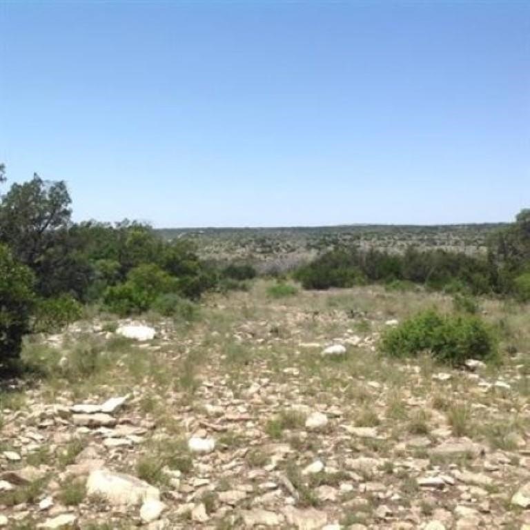 Picture 7