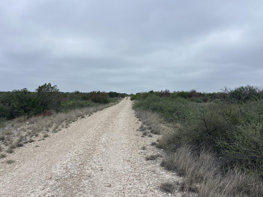 Picture 32
