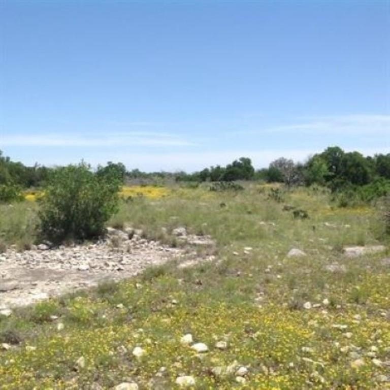 Picture 8
