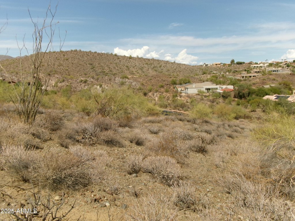 Picture 7