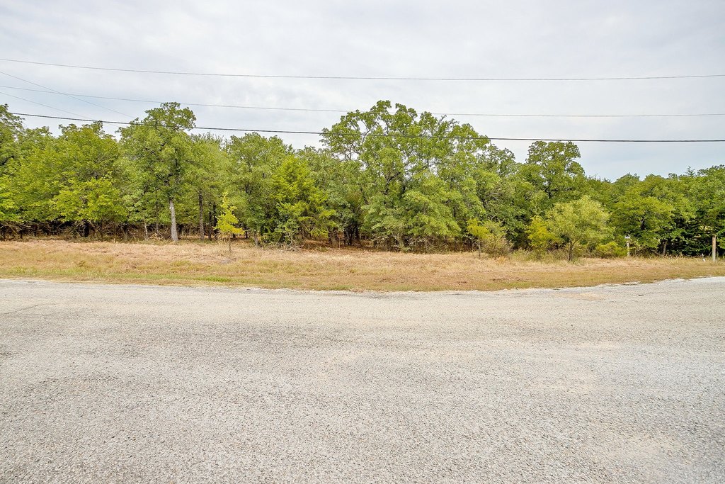 Picture 23