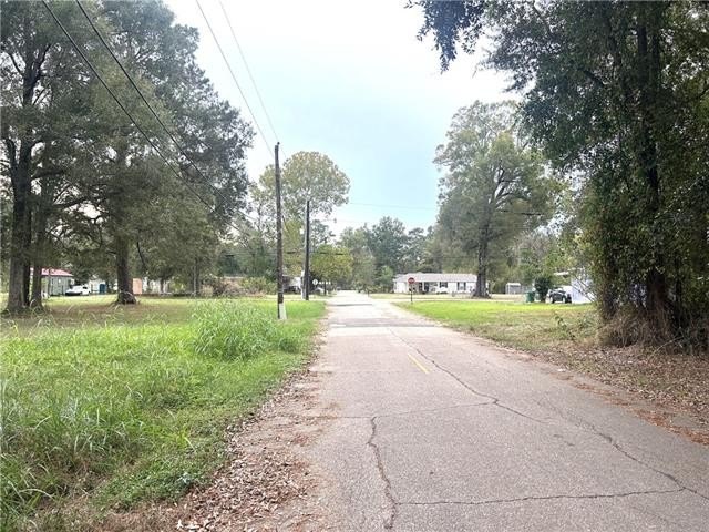 Picture 4