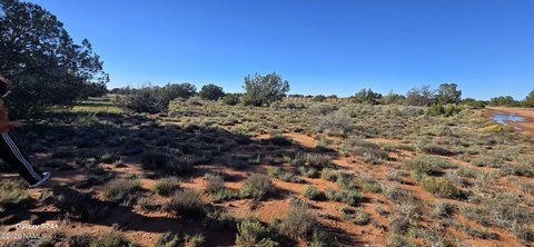 Land, Williams, AZ
