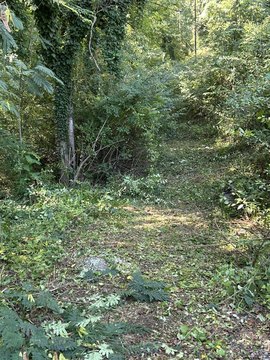 Land, Chattanooga, TN