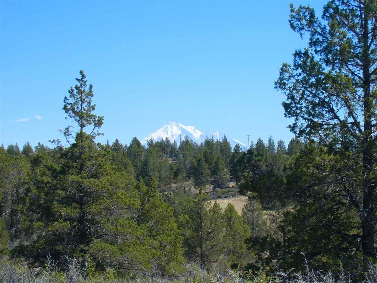 21.6 Acres in Hornbrook, CA