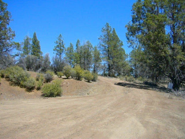 Picture 7
