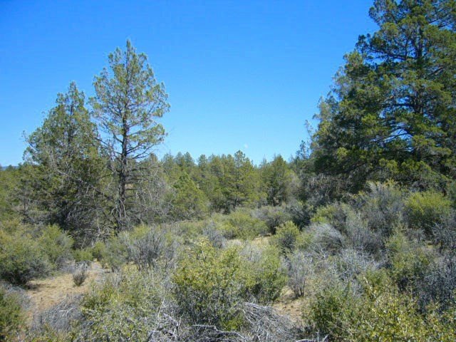 Picture 9