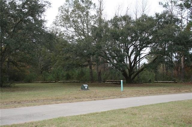 Picture 32