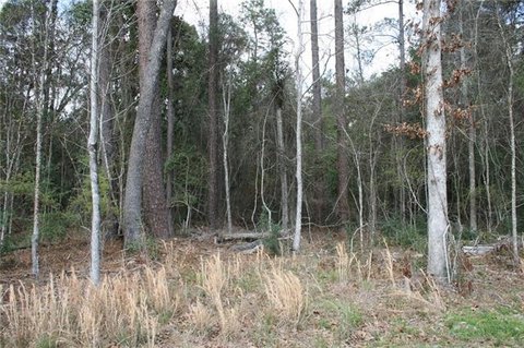 Covington Land in Nature Preserve