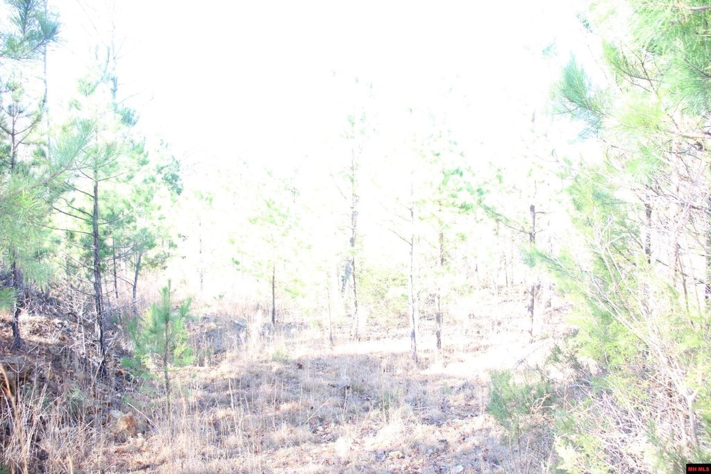 Picture 12