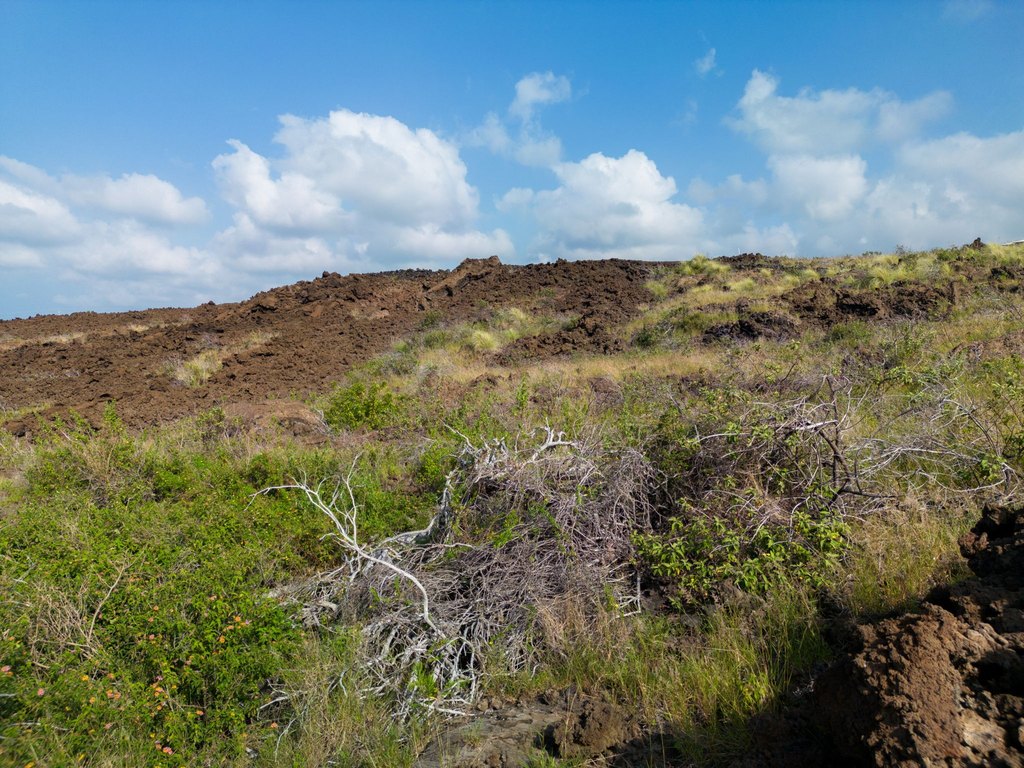 Picture 22