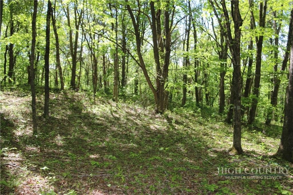 Picture 25